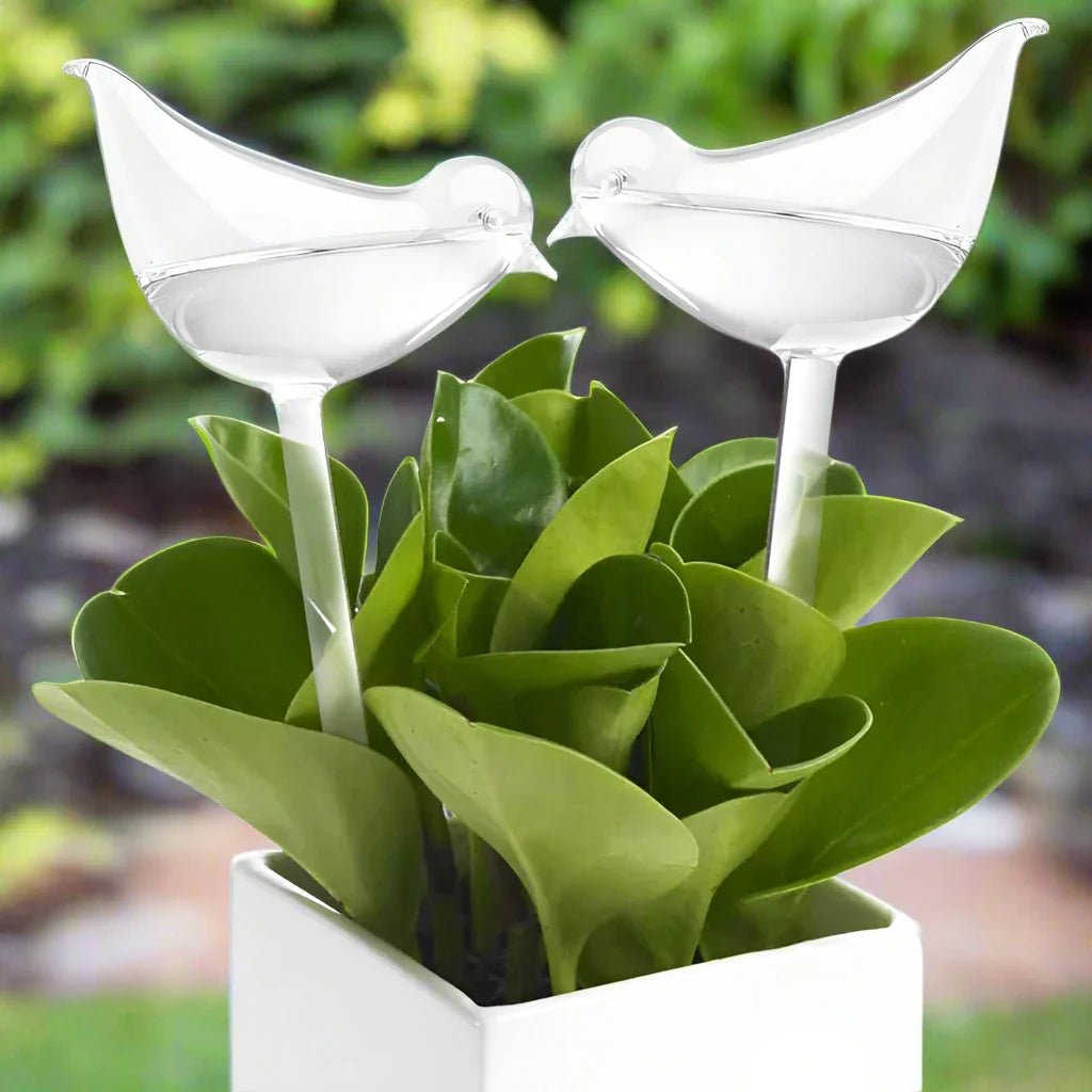 Ampoule d'Arrosage - PlantWateringBulbsâą - Blanc - Innovation Jardin