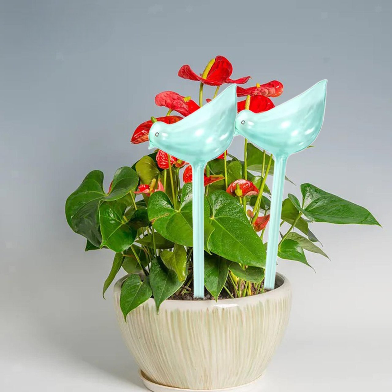 Ampoule d'Arrosage - PlantWateringBulbs™ - Bleu - Innovation Jardin