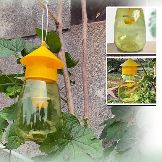 PIEGE A MOUCHE | FRUIT™ - Innovation Jardin
