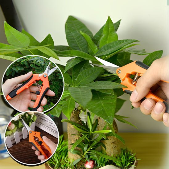SECATEUR | A POINTE FINE - La Main Verte™ - Innovation Jardin