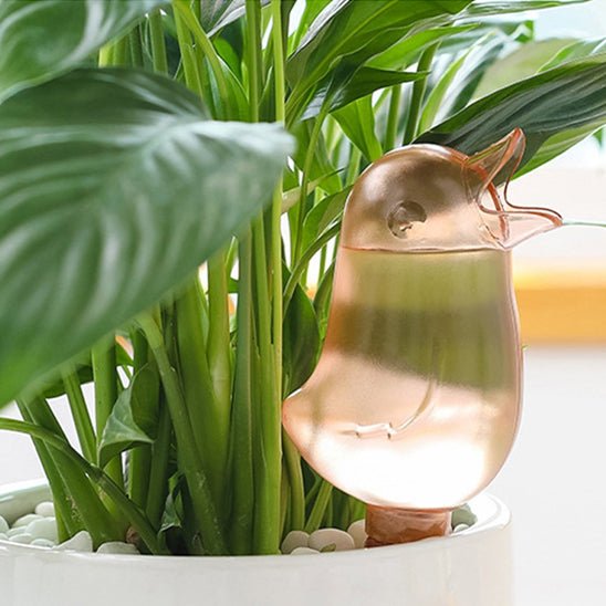 Arrosage automatique | de pot - AquaBirdie™ - Innovation Jardin