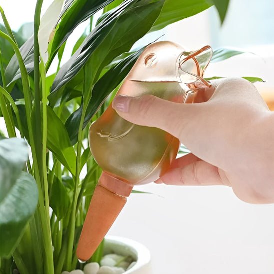 Arrosage automatique | de pot - AquaBirdie™ - Innovation Jardin