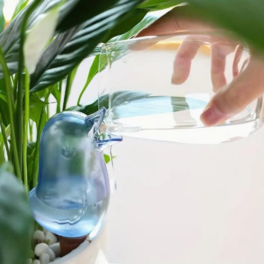 Arrosage automatique | de pot - AquaBirdie™ - Innovation Jardin