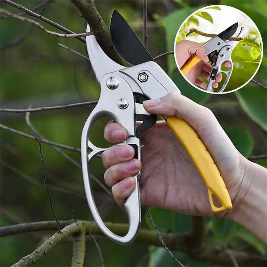 SECATEUR | A CLIQUET - Innovation Jardin
