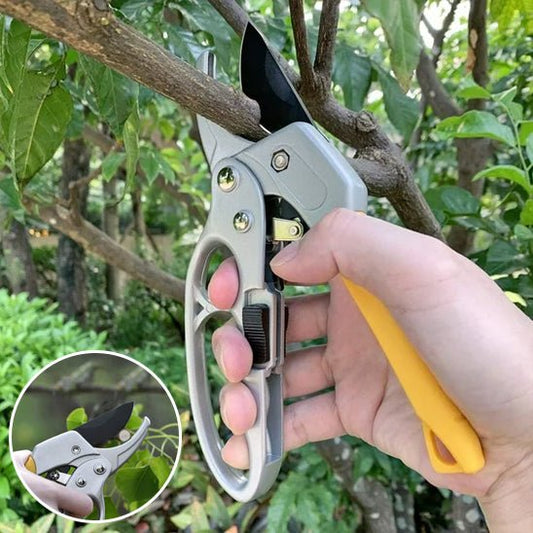 SECATEUR | A CLIQUET - Innovation Jardin