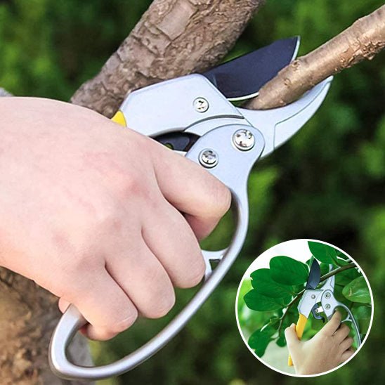 SECATEUR | A CLIQUET - Innovation Jardin