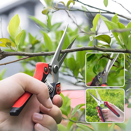 SECATEUR | A POINTE FINE - Fleur de Lame™ - Innovation Jardin