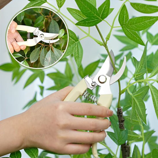 SECATEUR | SoftCut™ - Innovation Jardin