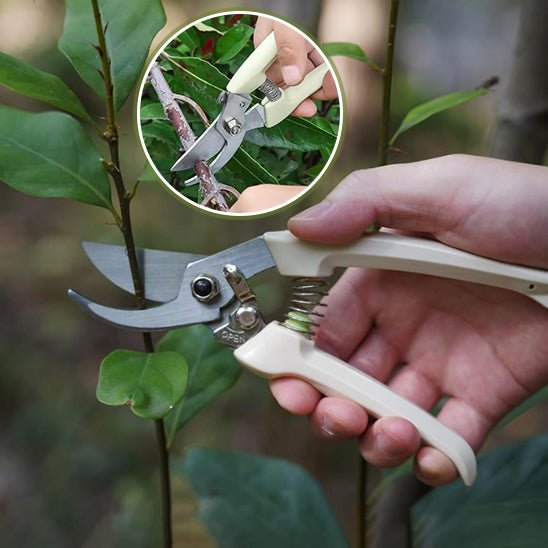 SECATEUR | SoftCut™ - Innovation Jardin
